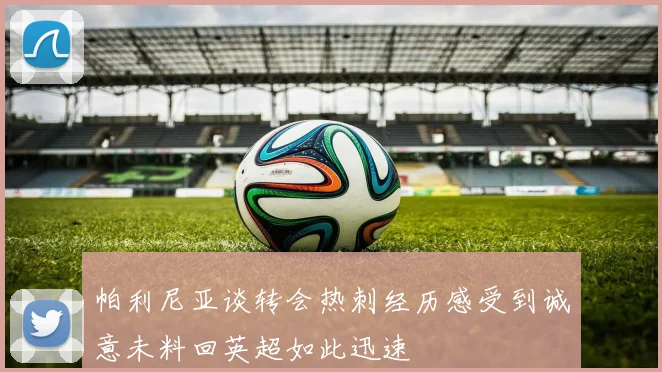 帕利尼亚谈转会热刺经历感受到诚意未料回英超如此迅速