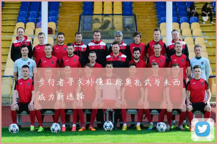 步行者寻求补强目标奥孔武与米西成为新选择